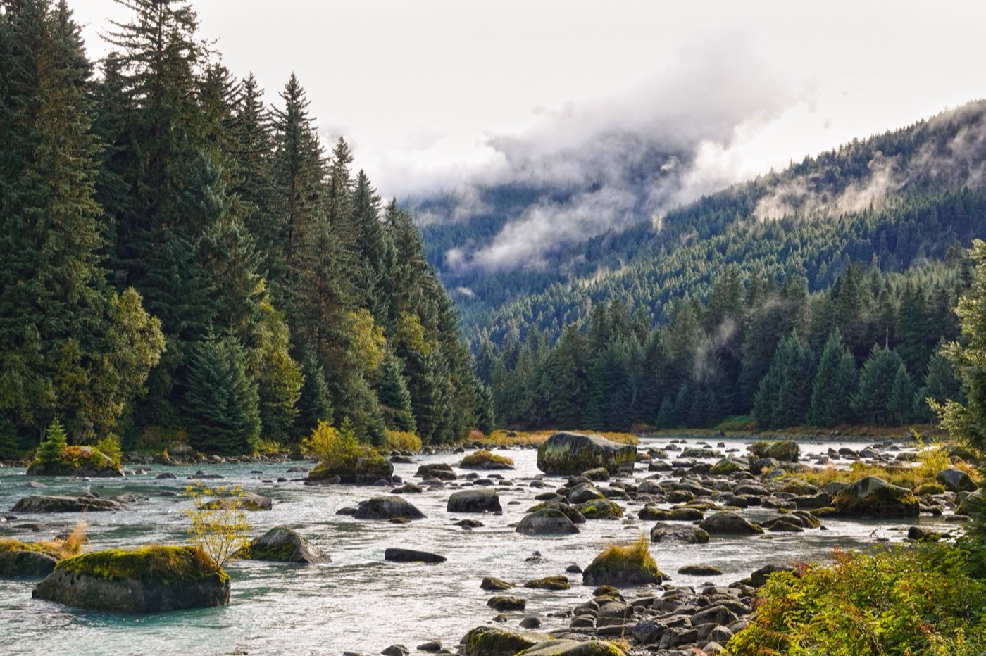 A clear river running over stones through an evergreen valley in autumn