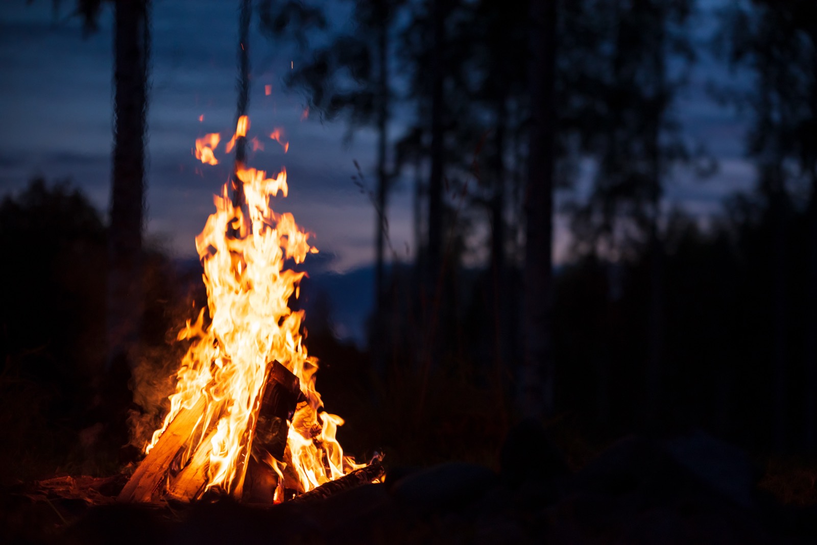 A campfire glowing in a dark forest